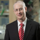 Pinchas Cohen, expert in healthy aging, longevity and disease prevention
