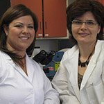 NIH Awards Go to USC Researchers