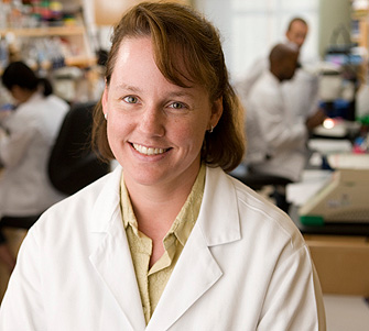 Researchers Engineer Functioning Intestine in Lab