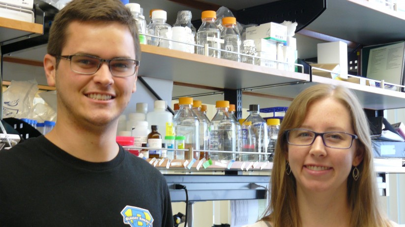 researchers James Bowman and Mary Rodgers