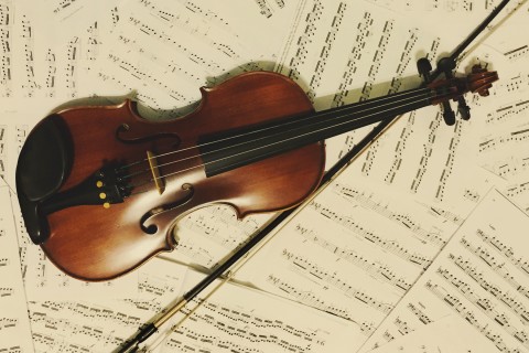 violin