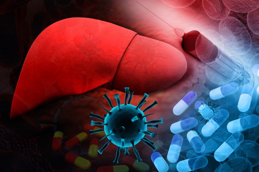 liver illustration with hepatitis c medication concept