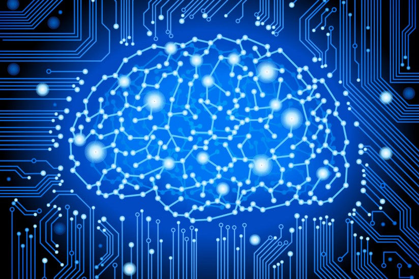 Brain circuitry illustration