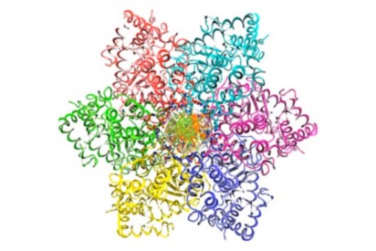 image of helicase working