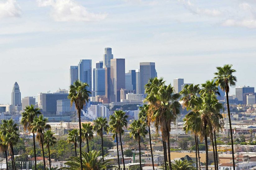 Los Angeles skyline with palm trees in front