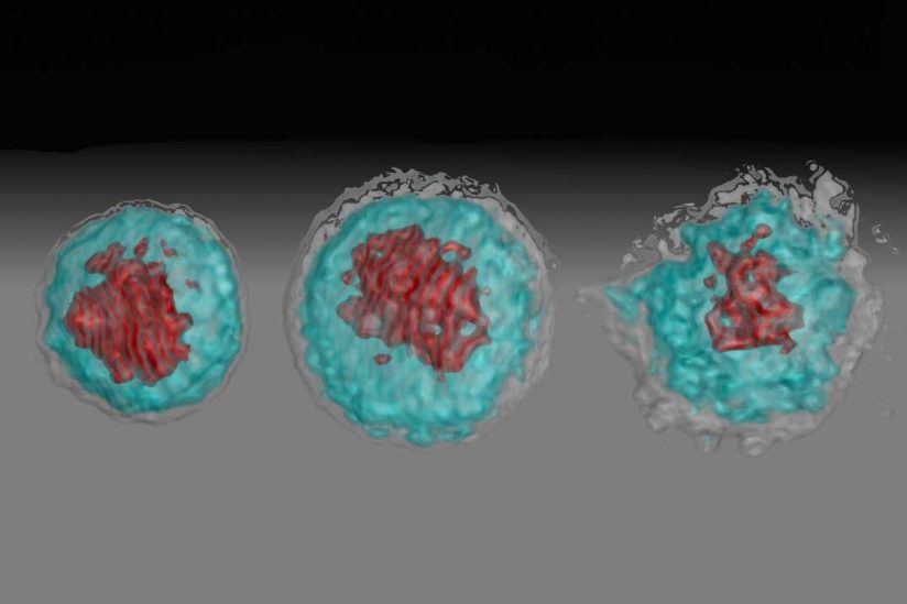 illustration of infected cells