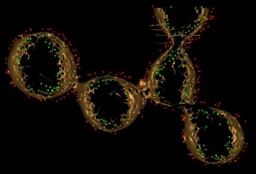 Shewanella oneidensis bacteria illustration - a step towards a new sustainable energy solution