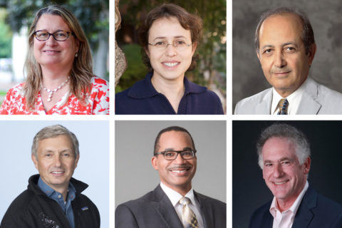 2020 AAAS fellows