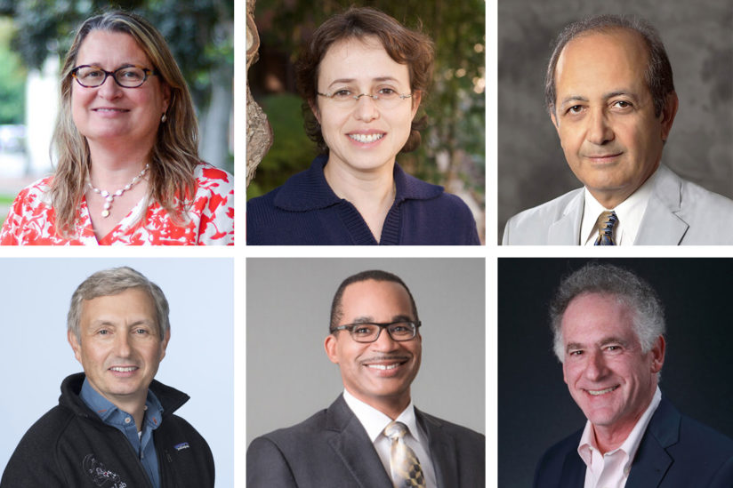 2020 AAAS fellows