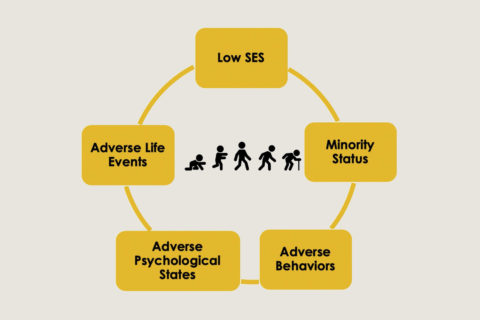 social hallmarks of aging