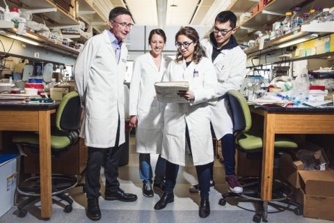 Andy McMahon, Lisa Rutledge, Helena Bugacov and Alex Guo